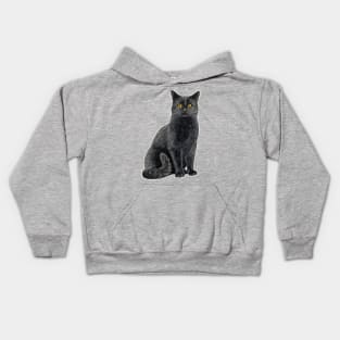 Black cat with golden eyes Kids Hoodie